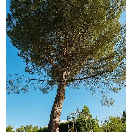 Soignee Et Accueillante A La Campagne - Ch Bleue * L'Honor-de-Cos